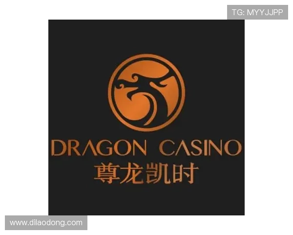 尊龙网站首页功能介绍:为用户提供一站式娱乐选择的平台优势