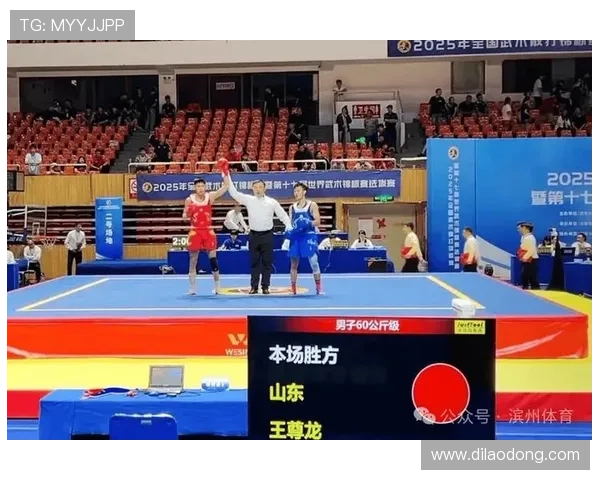 尊龙体育赛程2024最新更新，重点赛事时间安排与赛事亮点一览