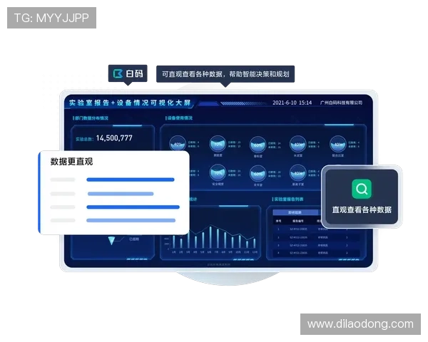 尊龙数字站：实现数据驱动决策的智能分析与管理平台