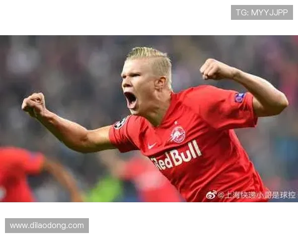 尊龙z6.com官网app常见问题解答,解决用户在使用过程中遇到的各种困扰