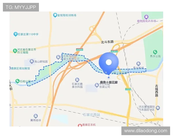 世界杯期间埃及与新西兰比赛交通攻略全流程指南帮助球迷规划出行